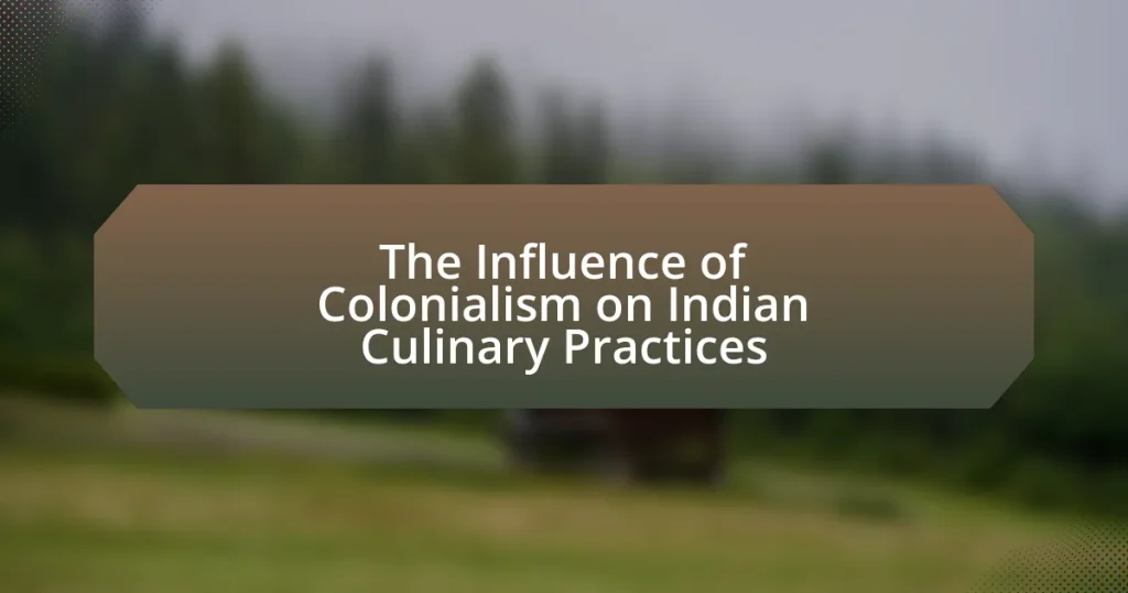 The Influence of Colonialism on Indian Culinary Practices