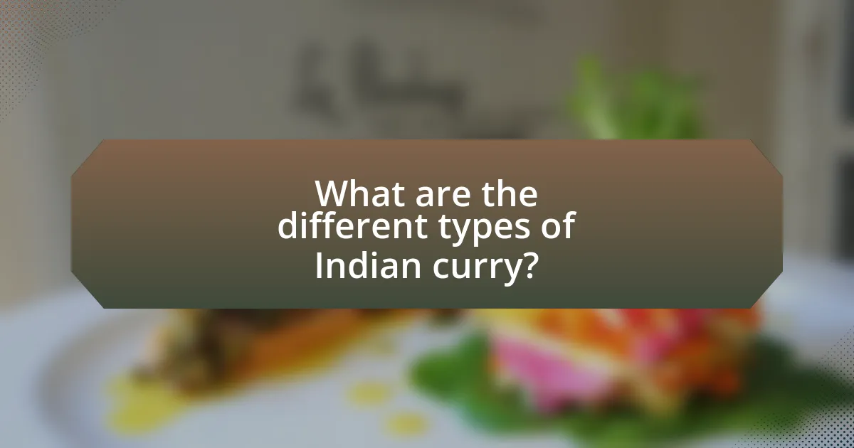 What are the different types of Indian curry?