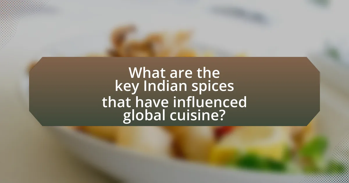 What are the key Indian spices that have influenced global cuisine?