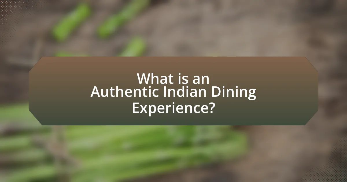 What is an Authentic Indian Dining Experience?