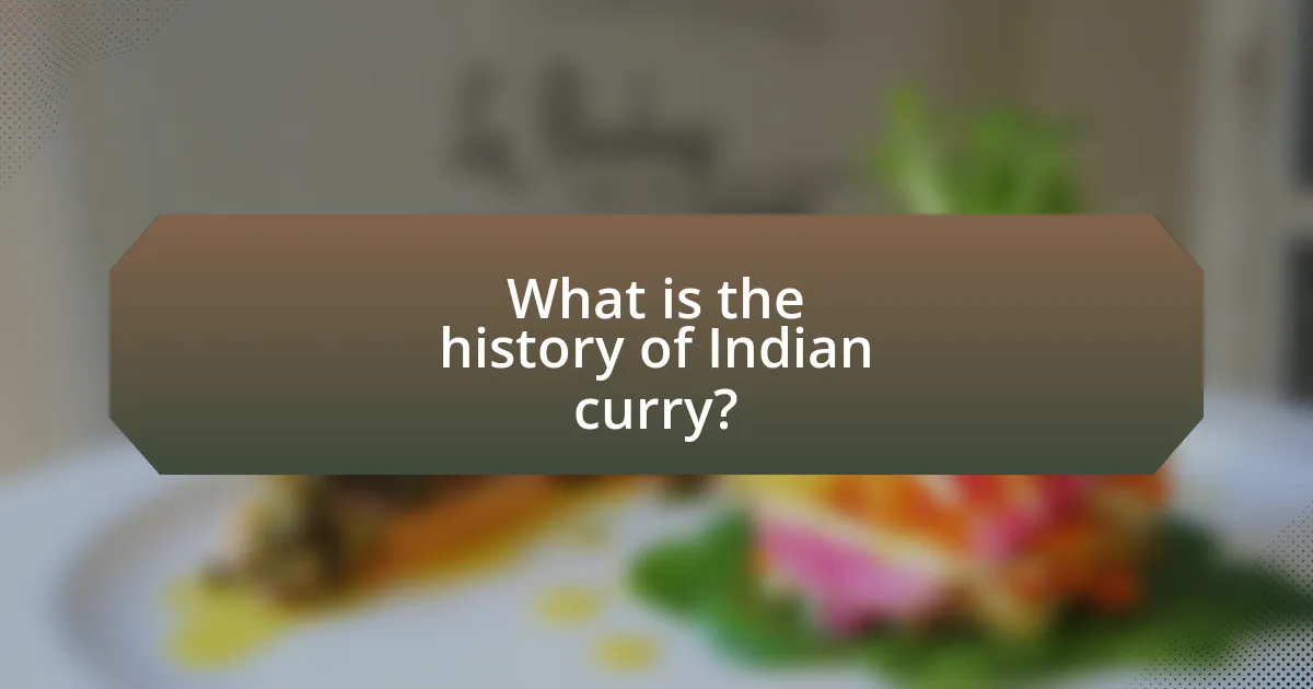 What is the history of Indian curry?
