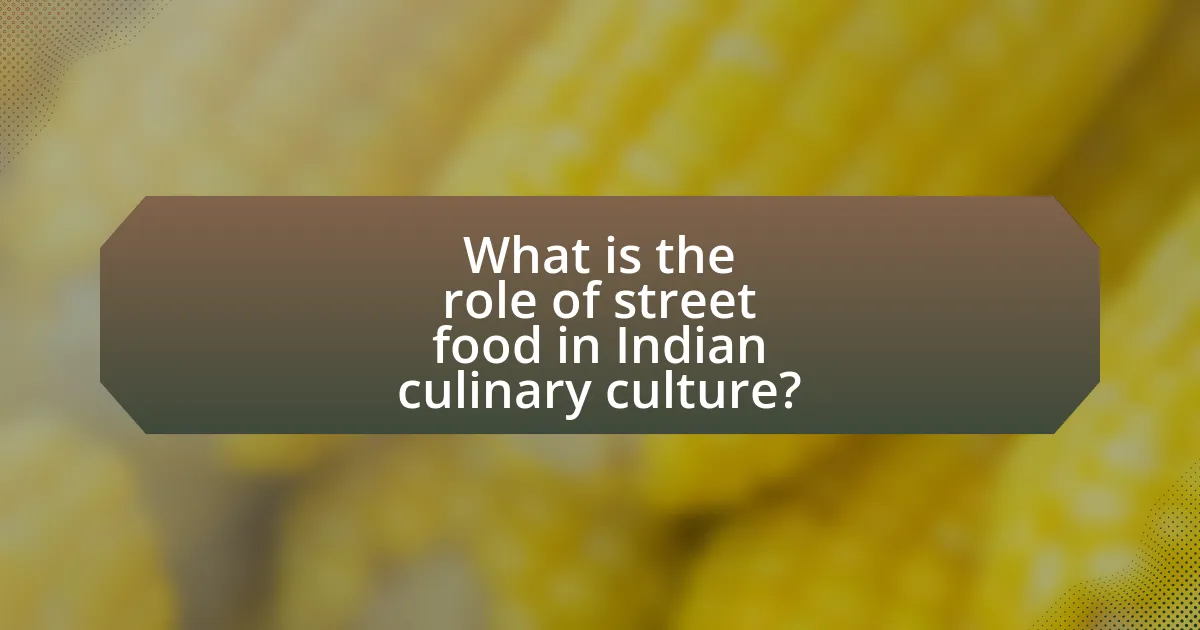 What is the role of street food in Indian culinary culture?