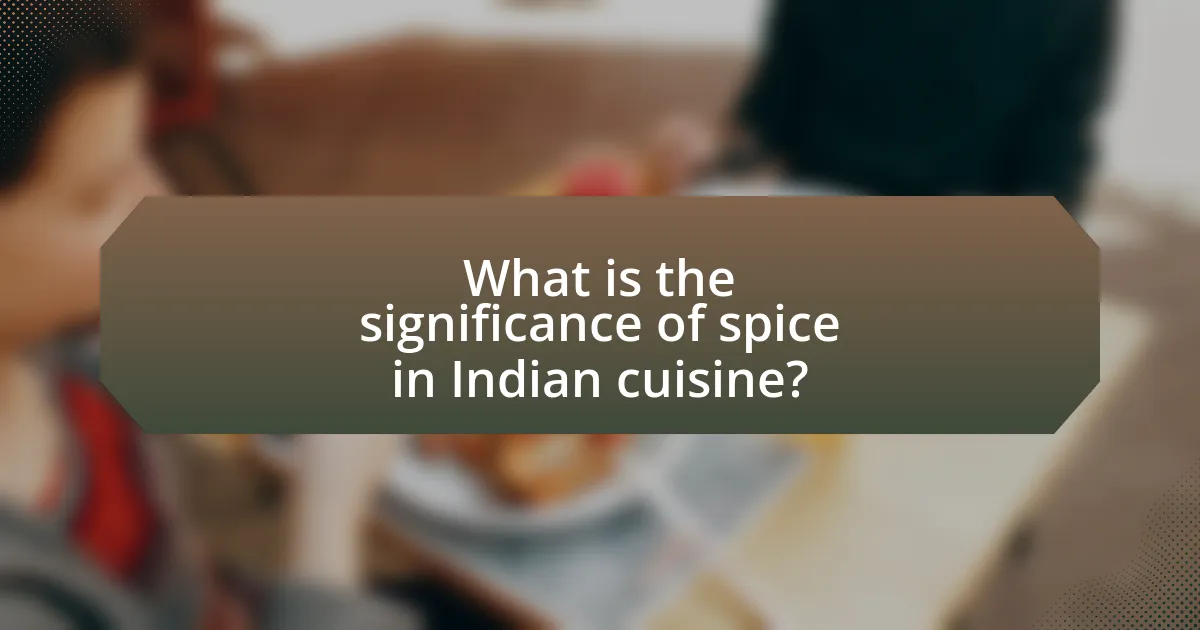 What is the significance of spice in Indian cuisine?
